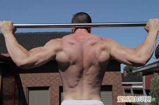 一直被低估的引体向上 引体向上的好处