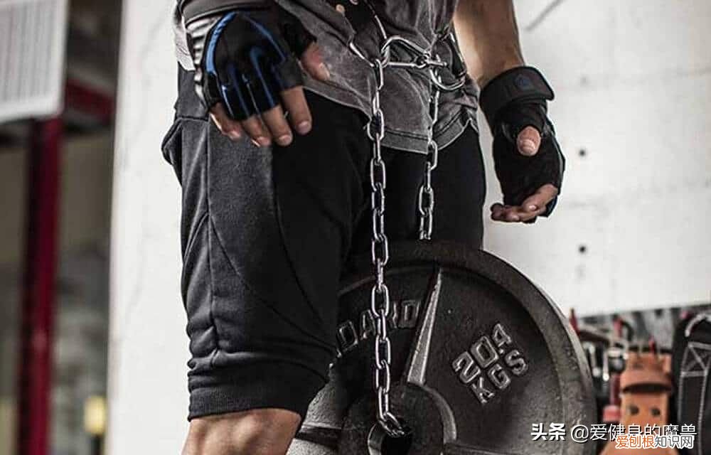 一直被低估的引体向上 引体向上的好处