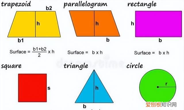 三年级数学下册面积和面积单位知识点汇总+练习题,给宝贝练一练