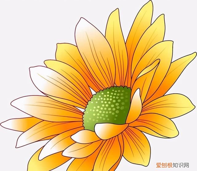 谈谈我们常吃的粮食蔬菜瓜果的由来和原产地是哪里