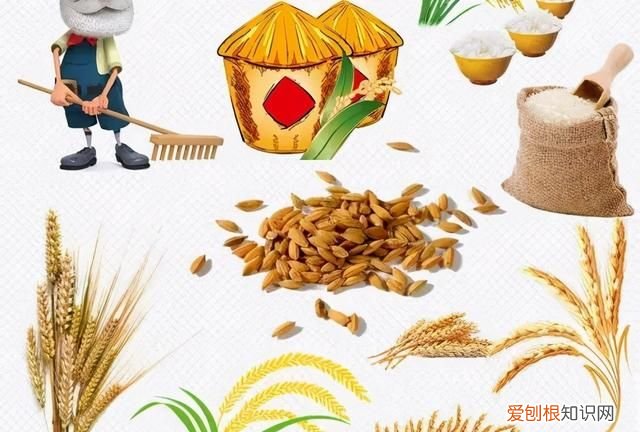 谈谈我们常吃的粮食蔬菜瓜果的由来和原产地是哪里