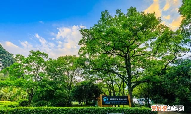 七星公园的北斗七星有多高,安徽阜阳七星公园的来历