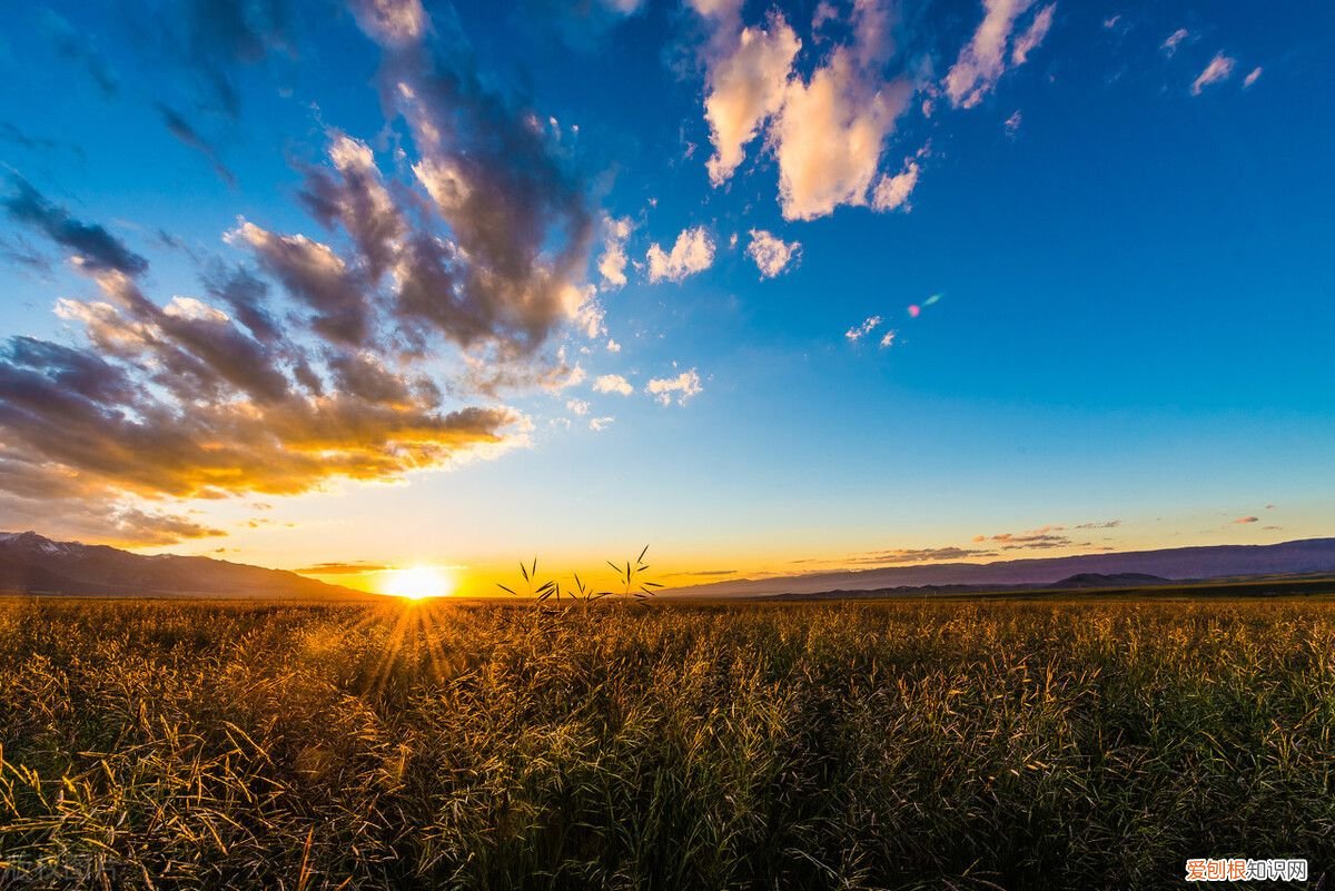 广角镜头适合拍什么? 什么是广角镜头