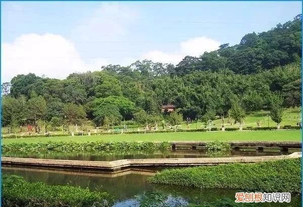 河道景观设计的基本方法 城市河道景观设计