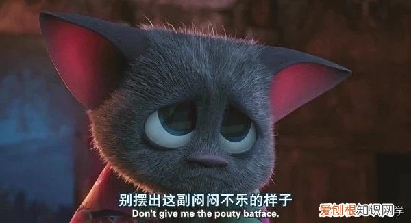 仪式感之大学生活篇 关于大学生活的文章