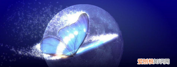 蝴蝶效应是什么意思