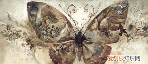 蝴蝶效应是什么意思