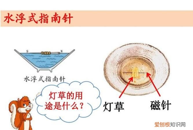 大自然的指南针有哪些,我还知道大自然的指南针有什么针