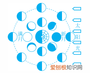 为什么一年有365天或366天?