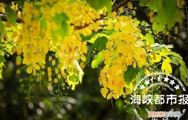 教师节贺卡祝福语大全 赞美老师的名言佳句