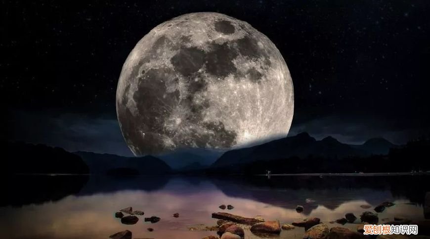 十首望月诗词 同来望月人何处