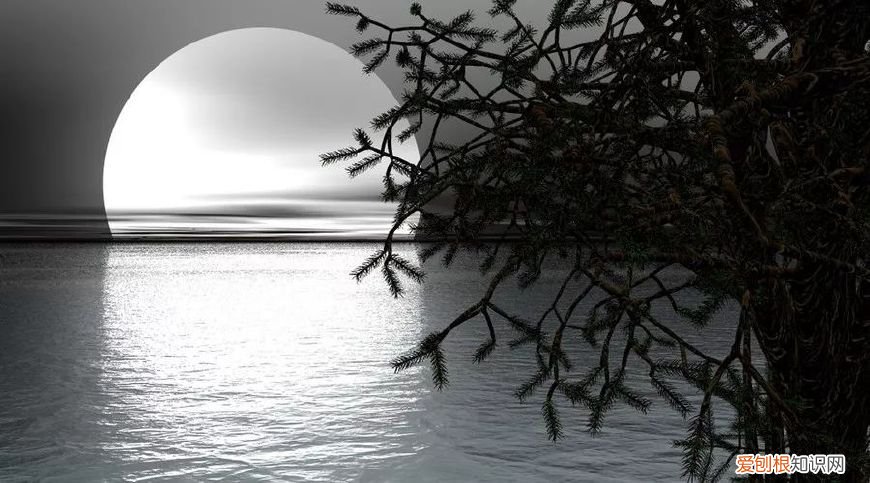 十首望月诗词 同来望月人何处