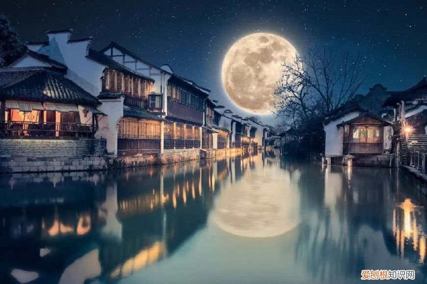 十首望月诗词 同来望月人何处