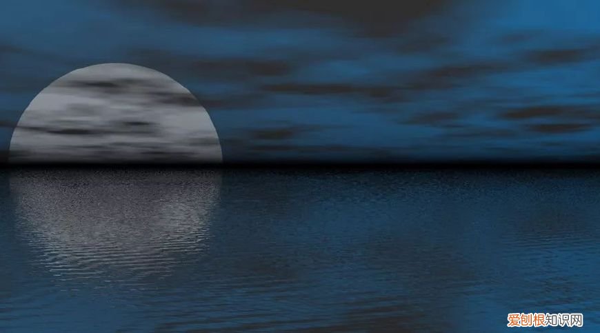 十首望月诗词 同来望月人何处