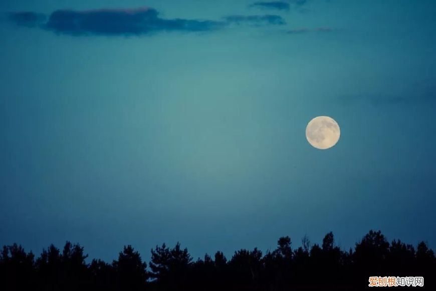 十首望月诗词 同来望月人何处