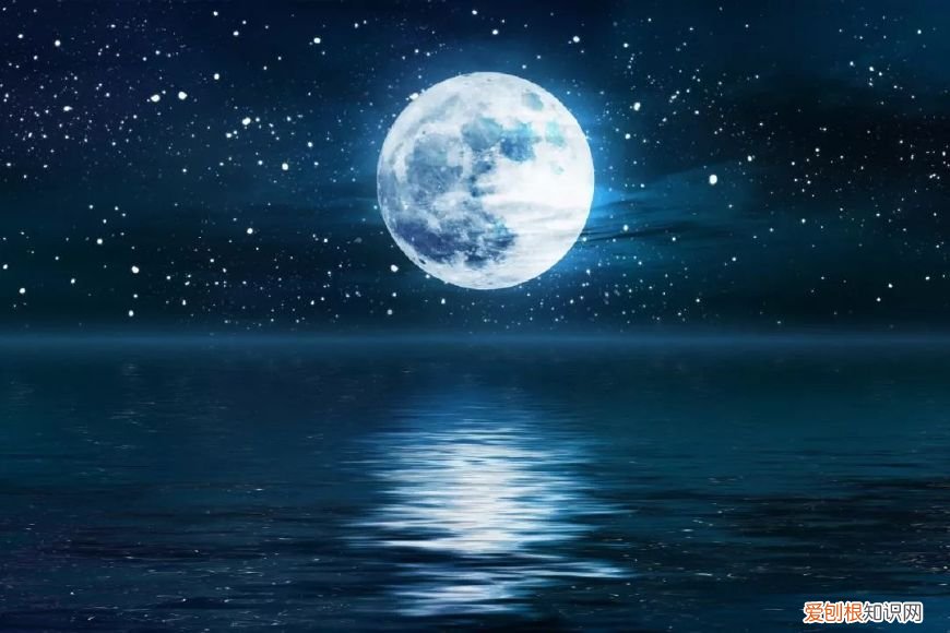 十首望月诗词 同来望月人何处