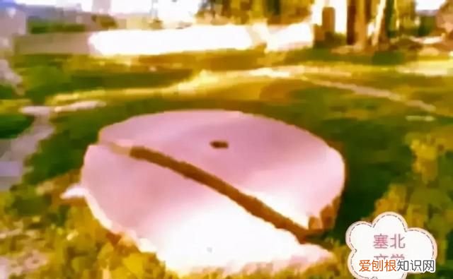 清明节怀念先人散文 消失的村庄感人的散文