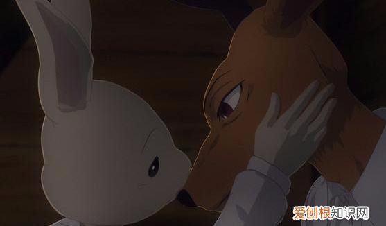 不爱看NTR动画？ ntr是什么意思梗