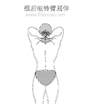 全套哑铃锻炼方法图解 值得你收藏 哑铃锻炼方法图解