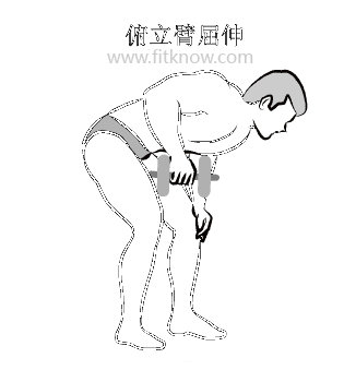 全套哑铃锻炼方法图解 值得你收藏 哑铃锻炼方法图解