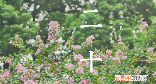 1620的爱情含义，20什么意思爱情
