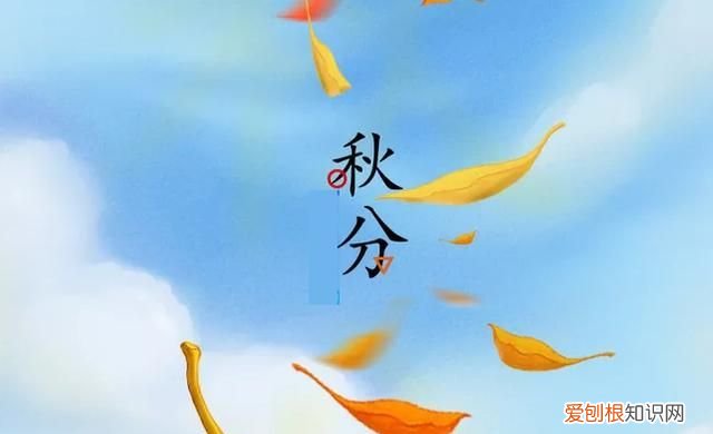 秋分是大节气,秋分是农历还是公历