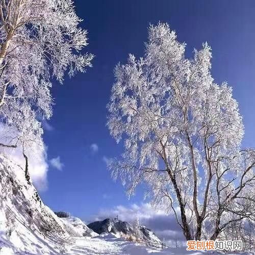 一九”啥时候到？ 一九是哪天