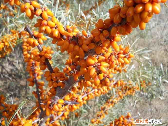 舌尖上的中国美食观后感 舌尖上的中国观后感