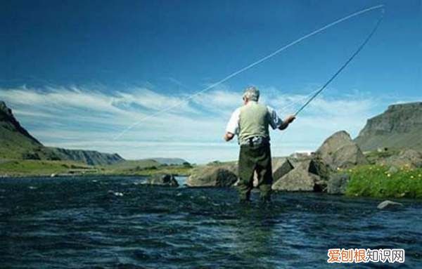 鲫鱼用什么打窝，鲫鱼打窝用什么饵料最好