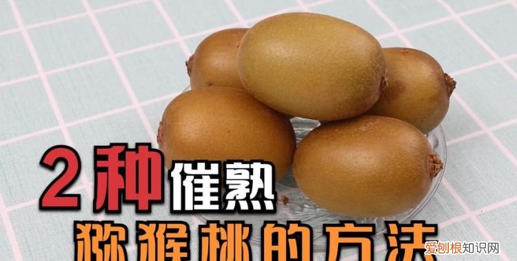 猕猴桃催熟小妙招，猕猴桃怎么催熟蚂蚁庄园