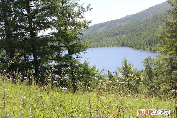 阿尔山自驾游(哈尔滨阿尔山自驾游）