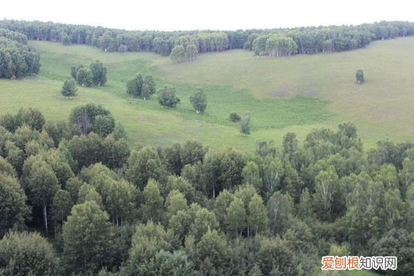 阿尔山自驾游(哈尔滨阿尔山自驾游）