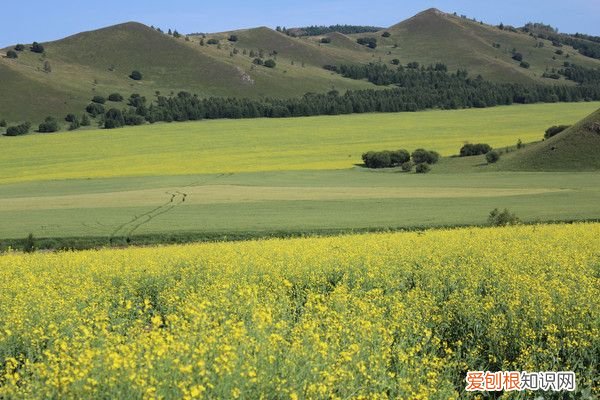 阿尔山自驾游(哈尔滨阿尔山自驾游）