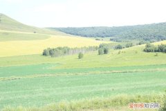 阿尔山自驾游(哈尔滨阿尔山自驾游）