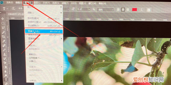 ps上咋调整大小，ps怎么设置圆的大小