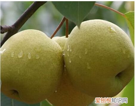 如何煲汤才更美味 如何煲汤