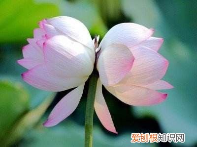 爱情打油诗四首 爱情打油诗