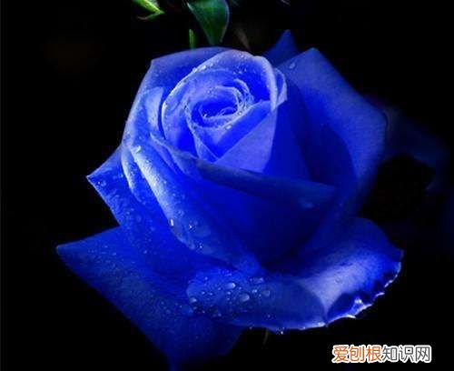 爱情打油诗四首 爱情打油诗