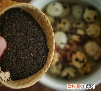 鹌鹑蛋和茶叶能一起煮吗 做好的茶叶鹌鹑蛋怎么保存