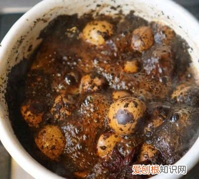 鹌鹑蛋和茶叶能一起煮吗 做好的茶叶鹌鹑蛋怎么保存