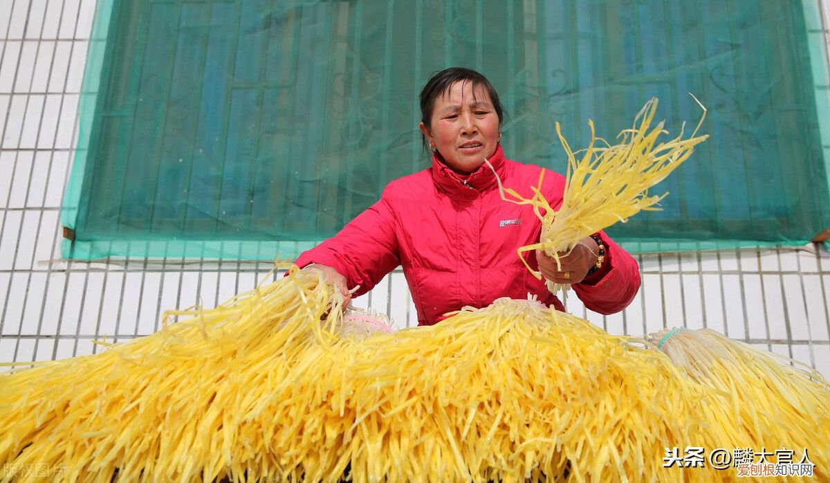 韭黄”和“韭菜”有啥区别 韭黄是什么东西