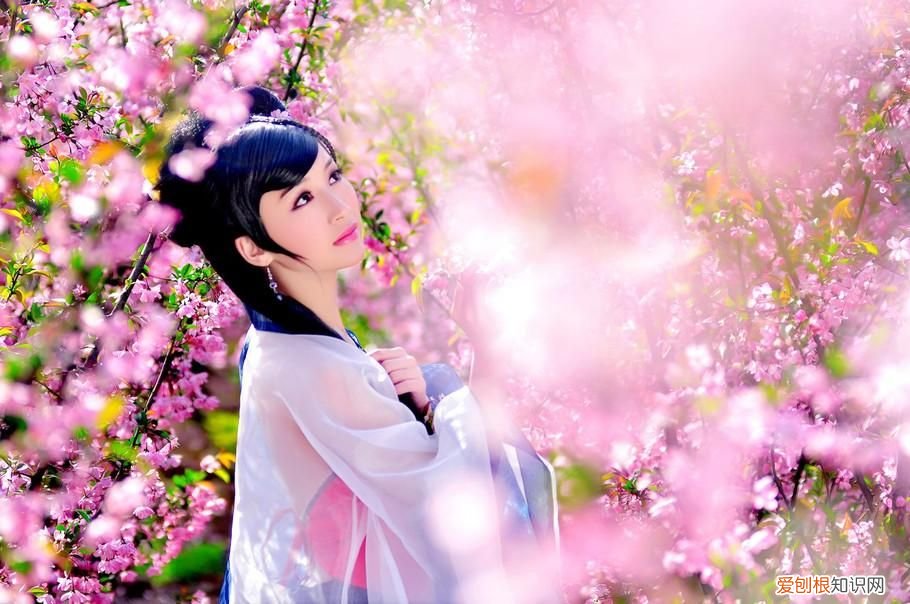 你真的知道桃花运的意思吗? 桃花运是什么意思