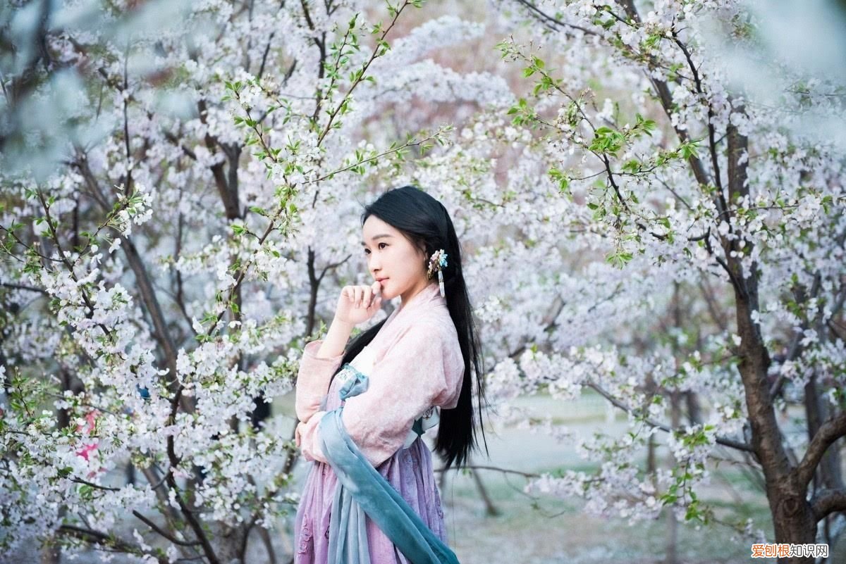 你真的知道桃花运的意思吗? 桃花运是什么意思