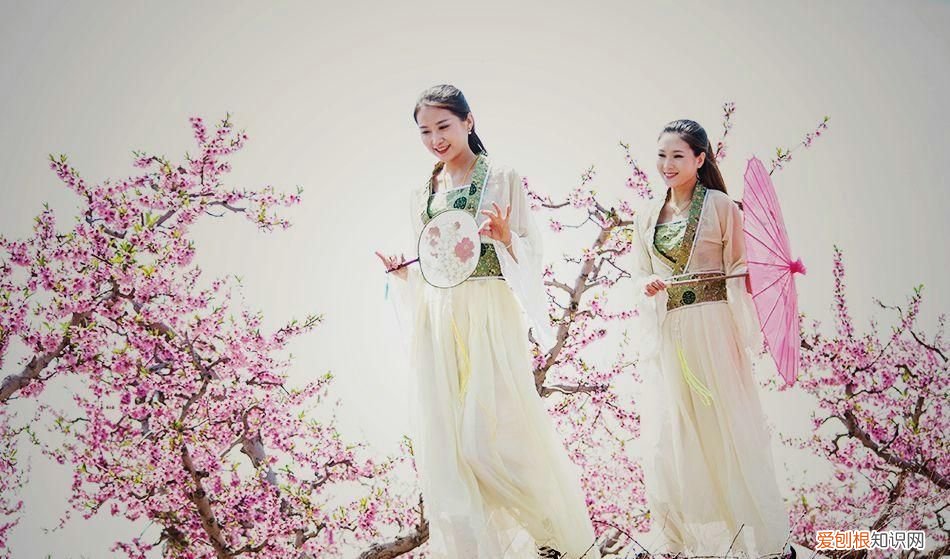 你真的知道桃花运的意思吗? 桃花运是什么意思