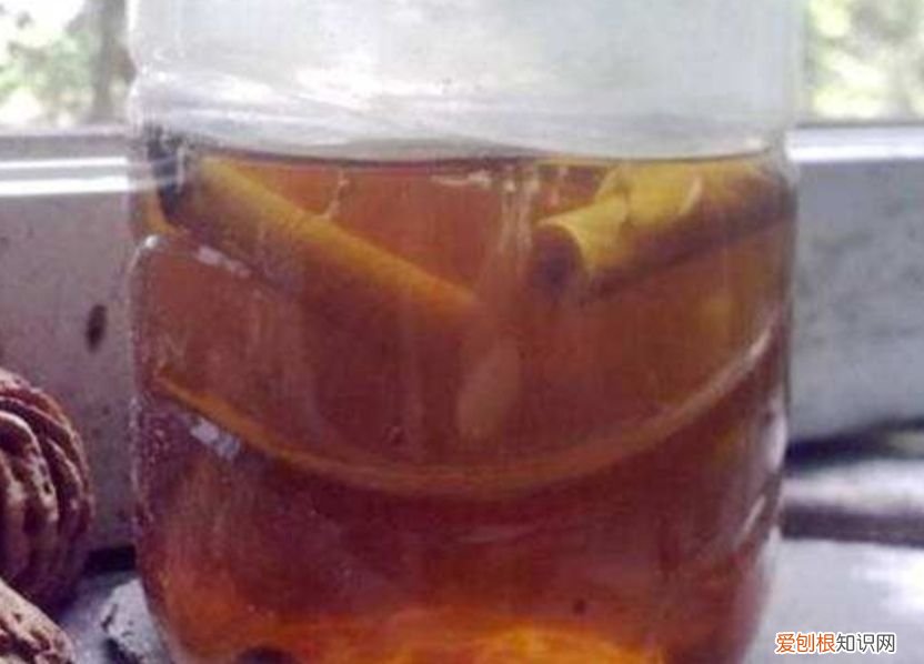 花盆里的小飞虫教你几个除虫小方法 花盆里有小飞虫