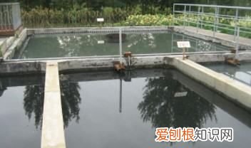 水解酸化池的作用,水解酸化池的工作原理