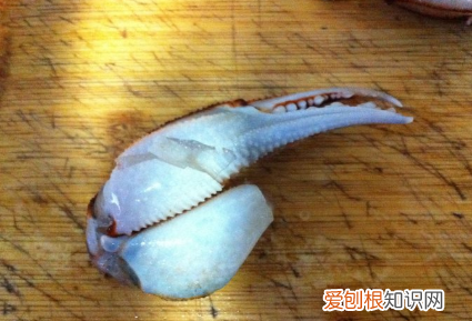 如何制作醉蟹,醉蟹钳的做法和调料