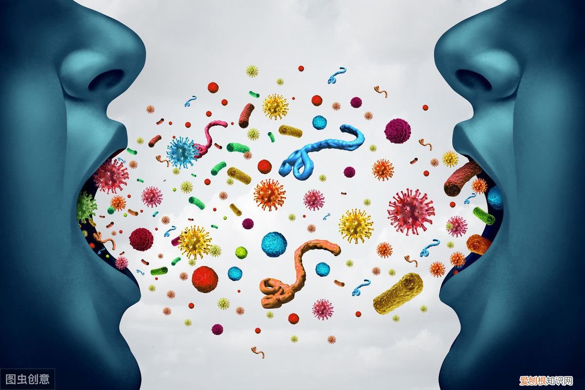 狂犬病的传播途径有哪些？ 狂犬病的传播途径