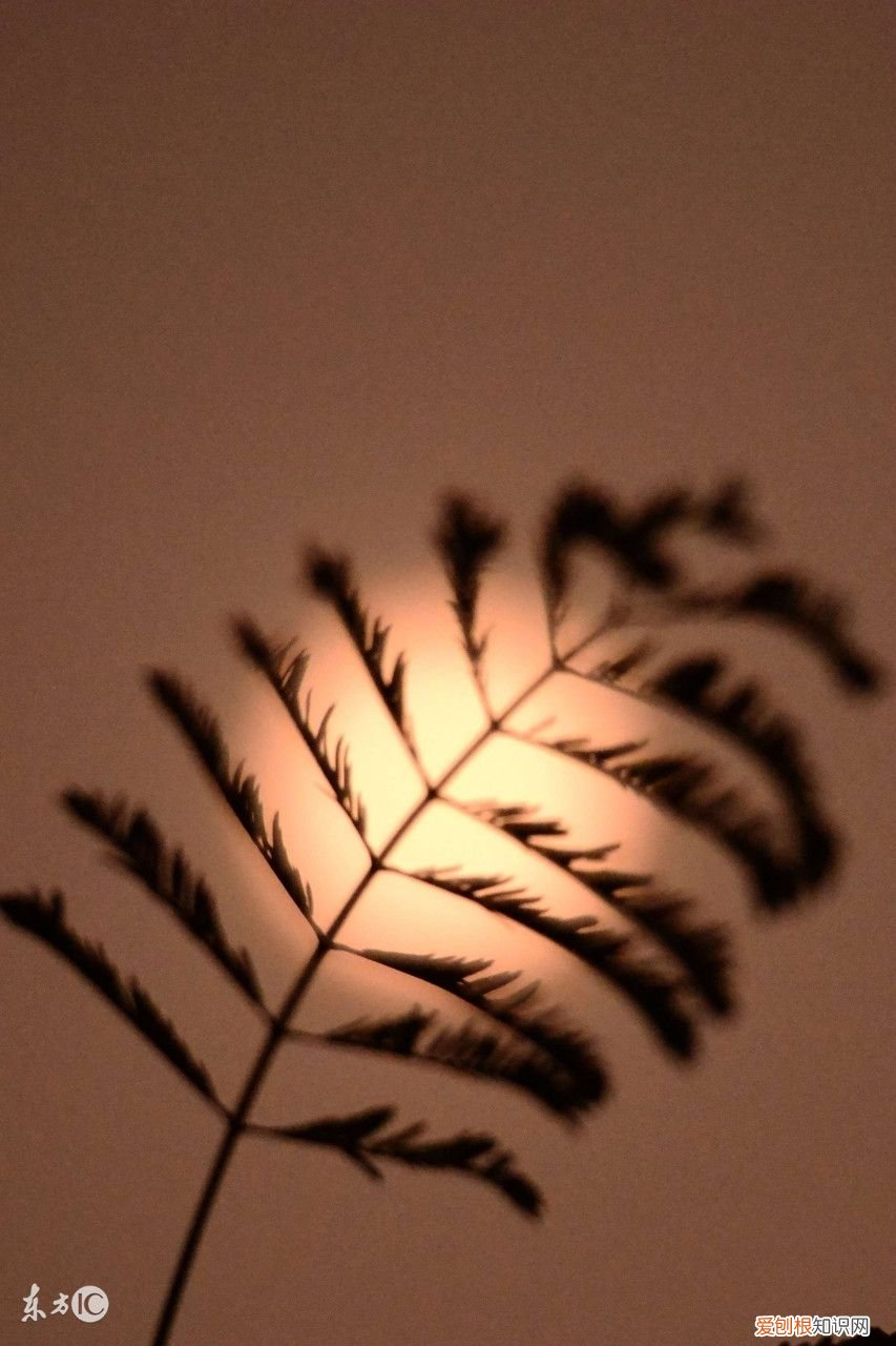 中秋节的古诗大全 关于中秋节的古诗四句