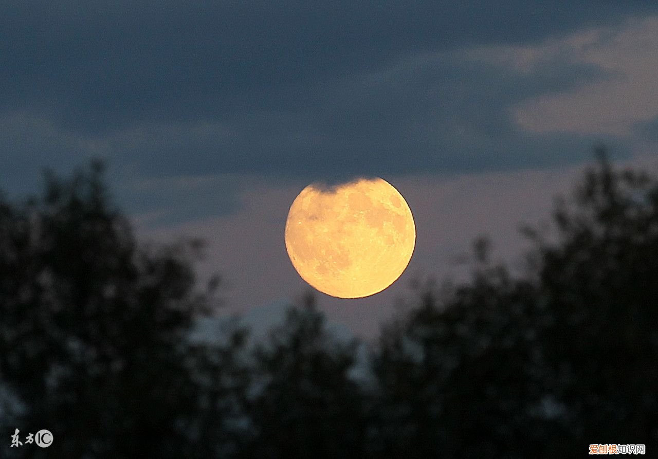 中秋节的古诗大全 关于中秋节的古诗四句